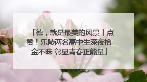 德，就是最美的风景丨点赞！乐陵两名高中生深夜拾金不昧 彰显青春正能量