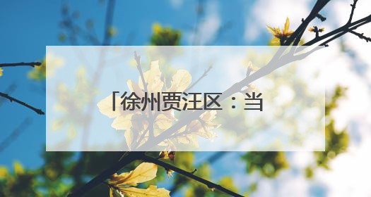 徐州贾汪区：当好“头雁”代表 助力乡村振兴