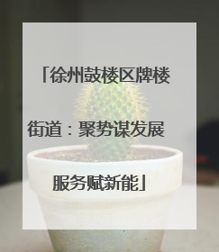 徐州鼓楼区牌楼街道：聚势谋发展 服务赋新能