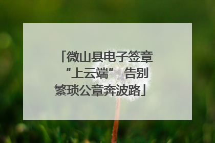 微山县电子签章“上云端” 告别繁琐公章奔波路