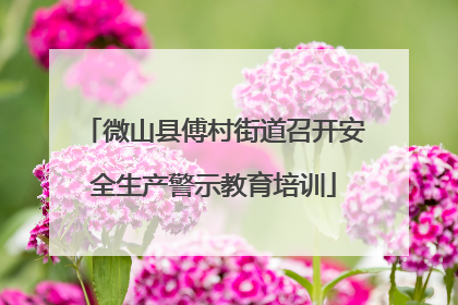 微山县傅村街道召开安全生产警示教育培训