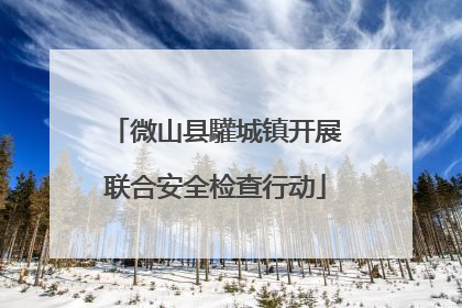 微山县驩城镇开展联合安全检查行动