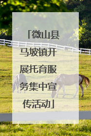微山县马坡镇开展托育服务集中宣传活动