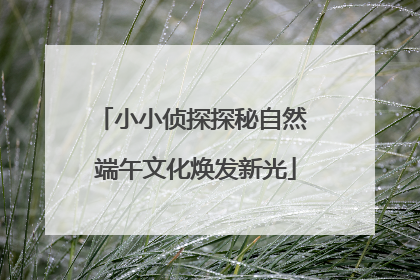 小小侦探探秘自然 端午文化焕发新光