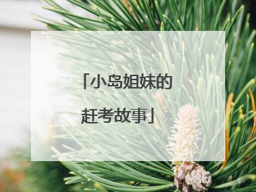 小岛姐妹的赶考故事