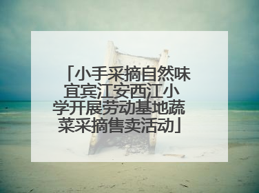 小手采摘自然味 宜宾江安西江小学开展劳动基地蔬菜采摘售卖活动