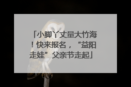 小脚丫丈量大竹海！快来报名，“益阳走娃”父亲节走起
