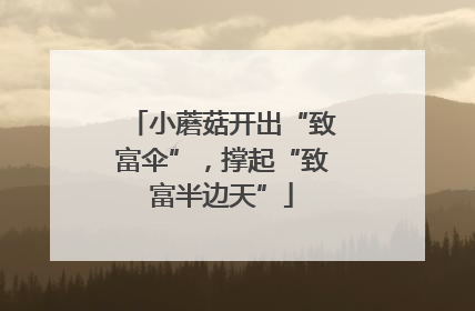 小蘑菇开出“致富伞”，撑起“致富半边天”