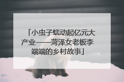 小虫子蠕动起亿元大产业——菏泽女老板李端端的乡村故事