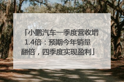 小鹏汽车一季度营收增1.4倍：预期今年销量翻倍，四季度实现盈利