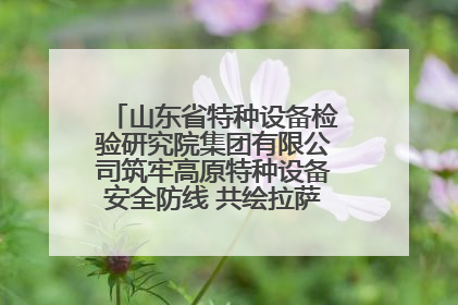 山东省特种设备检验研究院集团有限公司筑牢高原特种设备安全防线 共绘拉萨美好生活画卷