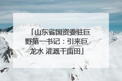 山东省国资委驻巨野第一书记：引来巨龙水 灌溉千亩田