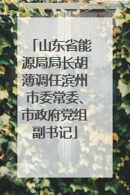 山东省能源局局长胡薄调任滨州市委常委、市政府党组副书记