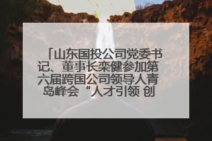 山东国投公司党委书记、董事长栾健参加第六届跨国公司领导人青岛峰会“人才引领 创新驱动”人力资源高质量发展对话会