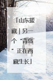 山东援藏｜另一个“青岛”正在西藏生长