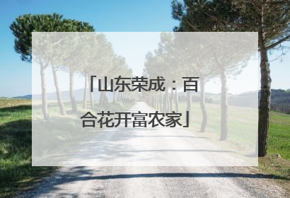 山东荣成：百合花开富农家
