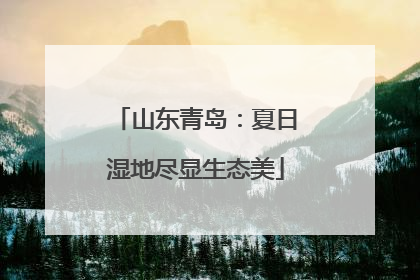 山东青岛：夏日湿地尽显生态美