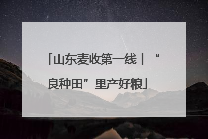 山东麦收第一线丨“良种田”里产好粮