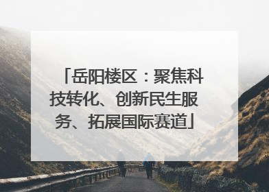 岳阳楼区：聚焦科技转化、创新民生服务、拓展国际赛道