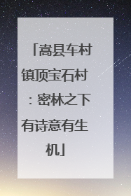 嵩县车村镇顶宝石村：密林之下有诗意有生机