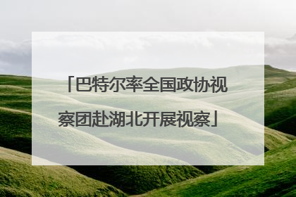 巴特尔率全国政协视察团赴湖北开展视察