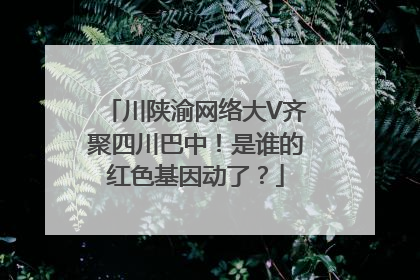 川陕渝网络大V齐聚四川巴中！是谁的红色基因动了？
