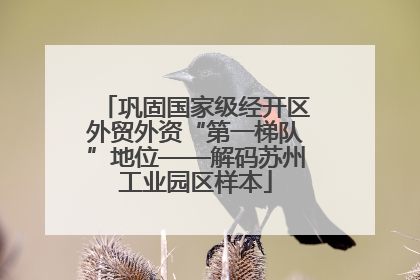 巩固国家级经开区外贸外资“第一梯队”地位——解码苏州工业园区样本