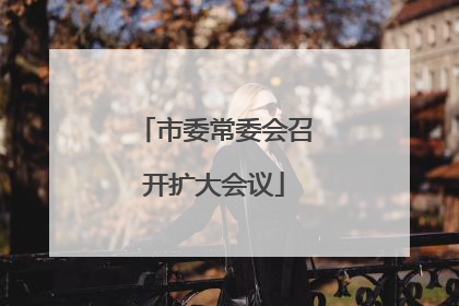市委常委会召开扩大会议