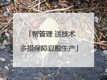 帮管理 送技术 多措保障夏粮生产
