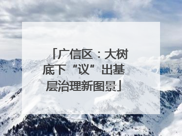 广信区：大树底下“议”出基层治理新图景