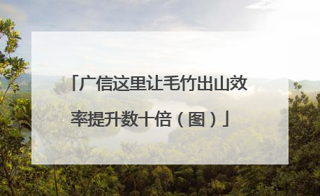 广信这里让毛竹出山效率提升数十倍（图）