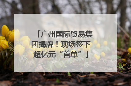 广州国际贸易集团揭牌！现场签下超亿元“首单”