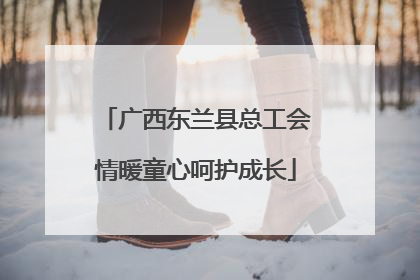 广西东兰县总工会情暖童心呵护成长