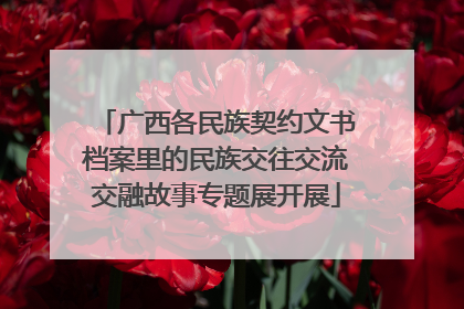 广西各民族契约文书档案里的民族交往交流交融故事专题展开展