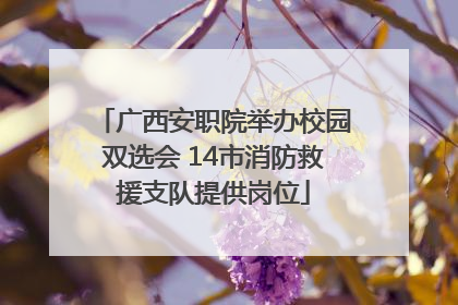 广西安职院举办校园双选会 14市消防救援支队提供岗位