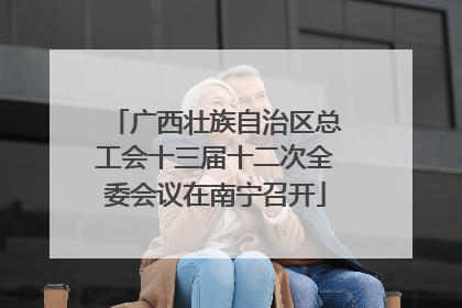广西壮族自治区总工会十三届十二次全委会议在南宁召开