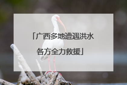 广西多地遭遇洪水 各方全力救援