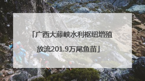广西大藤峡水利枢纽增殖放流201.9万尾鱼苗