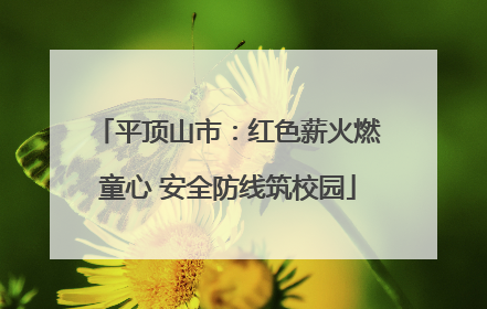 平顶山市：红色薪火燃童心 安全防线筑校园
