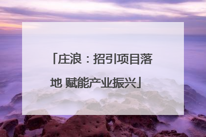 庄浪：招引项目落地 赋能产业振兴