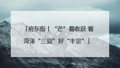 府东街丨“芒”着收获 看菏泽“三夏”好“丰景”