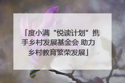 度小满“悦读计划”携手乡村发展基金会 助力乡村教育繁荣发展