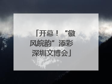 开幕！“徽风皖韵”添彩深圳文博会