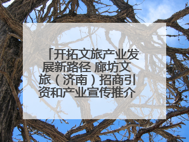 开拓文旅产业发展新路径 廊坊文旅（济南）招商引资和产业宣传推介活动举行