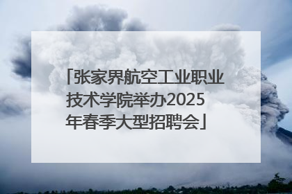 张家界航空工业职业技术学院举办2025年春季大型招聘会