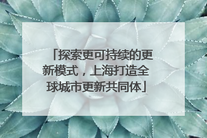 探索更可持续的更新模式，上海打造全球城市更新共同体
