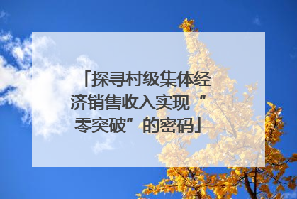 探寻村级集体经济销售收入实现“零突破”的密码