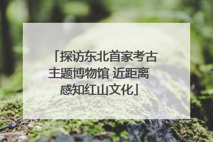 探访东北首家考古主题博物馆 近距离感知红山文化
