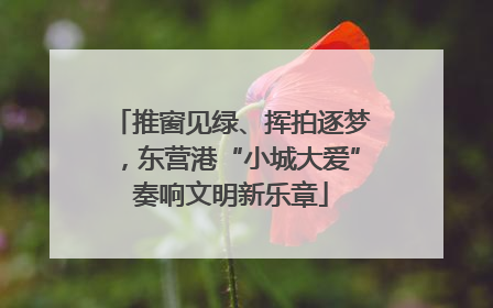 推窗见绿、挥拍逐梦，东营港“小城大爱”奏响文明新乐章