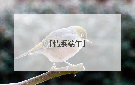 情系端午